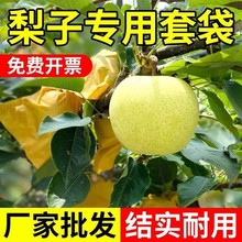 �S���������Sˮ��Ό����S�Ⱥڷ��x��ˮ���o����ꖷ��B