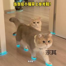 ؈��l��Ь���ﹷ��Ь������ҹ�⃺ͯ���ҹ�g����С����]؈�b��