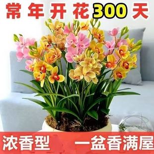 �ͺ��͟��ļ��_�������m��ˮ�������ˮ��������ֲ��ֱ�NԴ�^���]