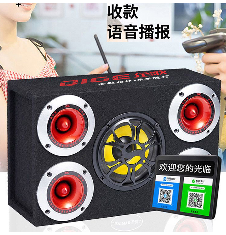 New upgraded 5-speaker car Bluetooth subwoofer 12V24V220V audio subwoofer modified speaker