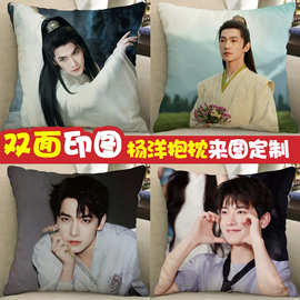 杨洋周边抱枕diy凡人修仙传韩立同款玩偶沙发客厅靠垫生日礼物