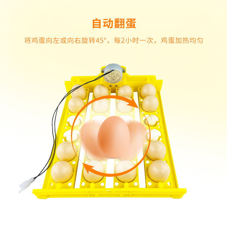 24 piezas cesta de flores Placa de huevo pequeña incubadora doméstica accesorios pollo pato paloma codorniz huevo dispositivo de giro
