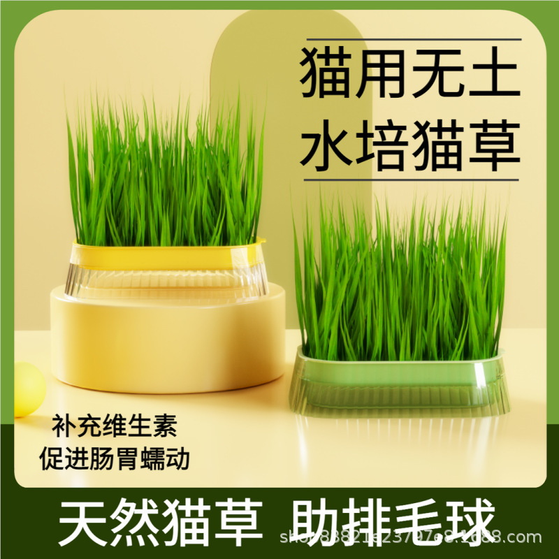 Nuevo gato grasa en maceta perezoso sin suelo caja de plantación hidropónica semillas de trigo placa de cultivo al por mayor