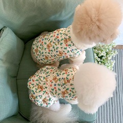 宠物衣服秋冬新款狗狗加厚棉衣可牵引泰迪比熊小型犬博美猫咪贵宾