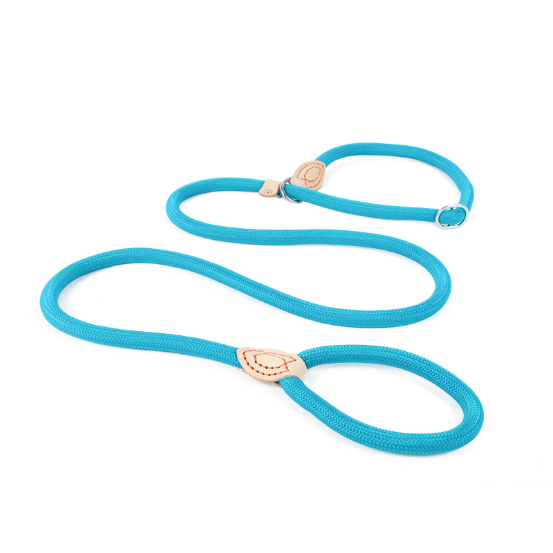 Guinzaglio semplice integrato antideflagrante anti-fuga con corda anti-pizzicamento per cani di grossa taglia con catena a P_voghion.com