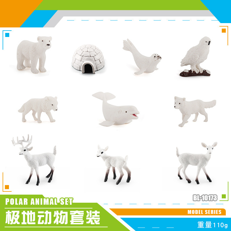 Exportación transfronteriza simulación modelo de animales polares mini animales de invierno ártico beluga morsa cognición educación temprana decoración