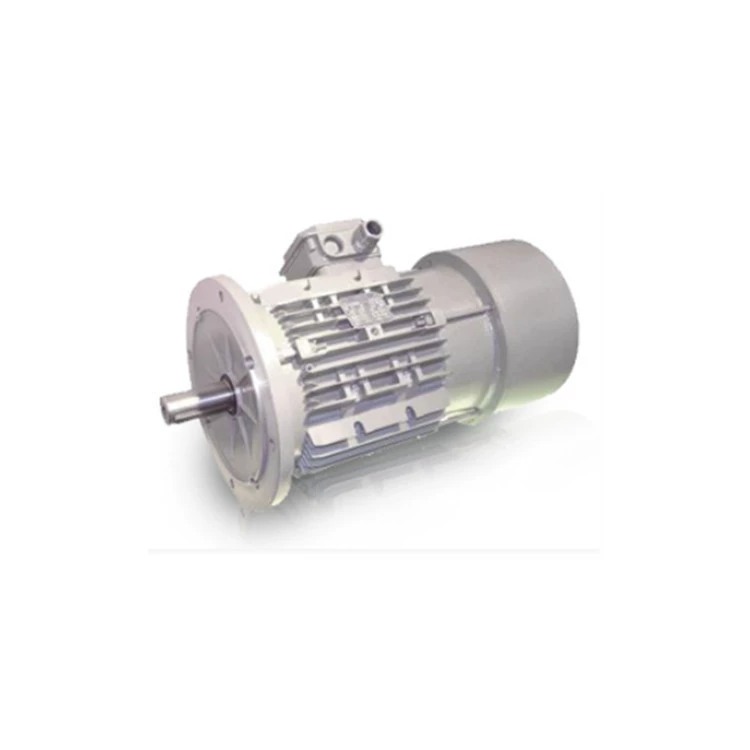 Оригинальный импорт Поставка Италия COEL тормозной двигатель SW мотор мотор