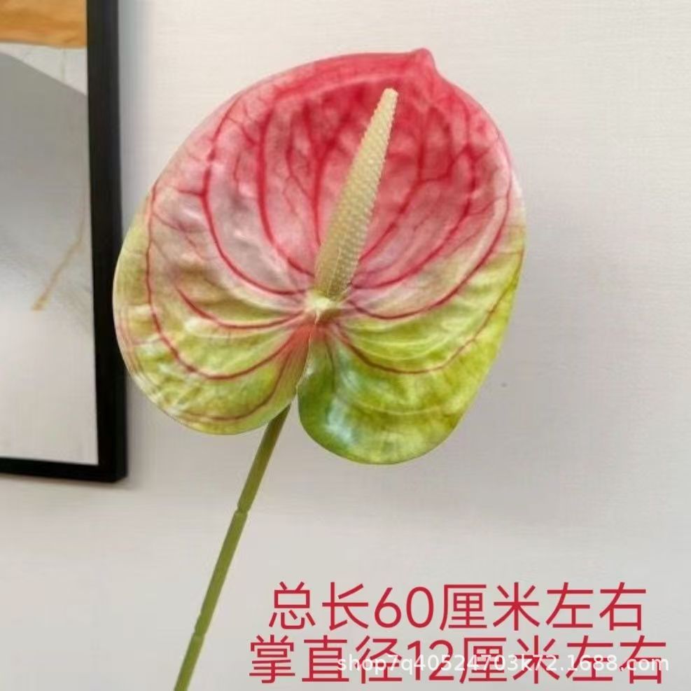 색상 번호 13