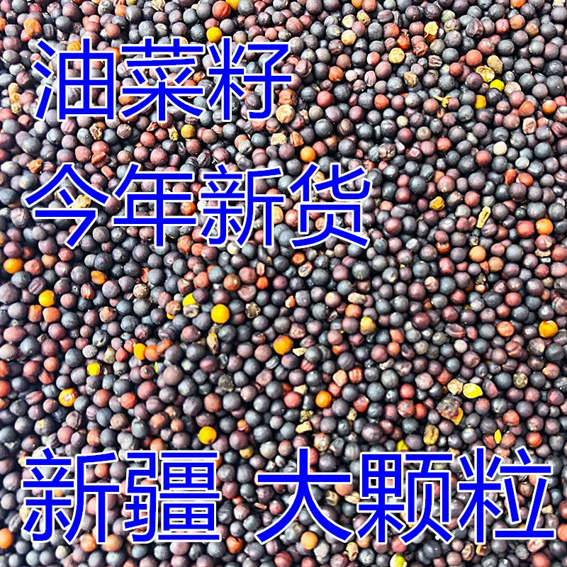 В этом году Новый корм для птиц крупнозернистый рапс шкура тигра Пион попугай Гибискус птица нефрит птица корм почтовые расходы