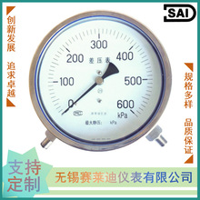 不锈钢差压表 YC-150BF  同时测两个压力 显示压差值 保护过滤器
