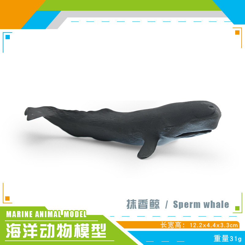 Simulación transfronteriza modelo de animales marinos cognitivo infantil tiburón ballena azul calamar ballena jorobada delfín decoración estática