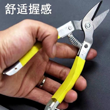 ��y�ռ{�ɹ��������P�ɳ�Ǹ̽�ժ���߹���֦��