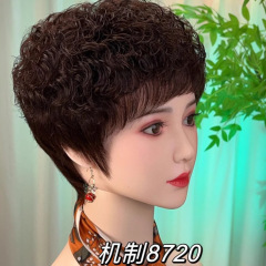 かつらの女性の短いカールの本当の髪の女性の中高年のお母さんのかつらのファッションは顔を修理してかつらのショートヘアを整えます。