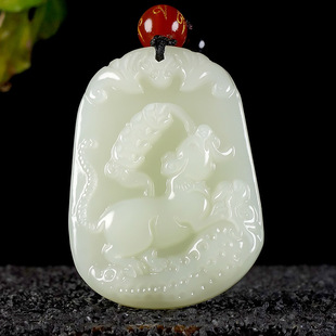 �S�½���������Ф��������Ů����������ʮ����Ф�񉋸����\ؔ