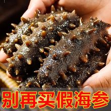【即食海参】大连即食刺参 野生大连海参独立包装 辽参长岛海参