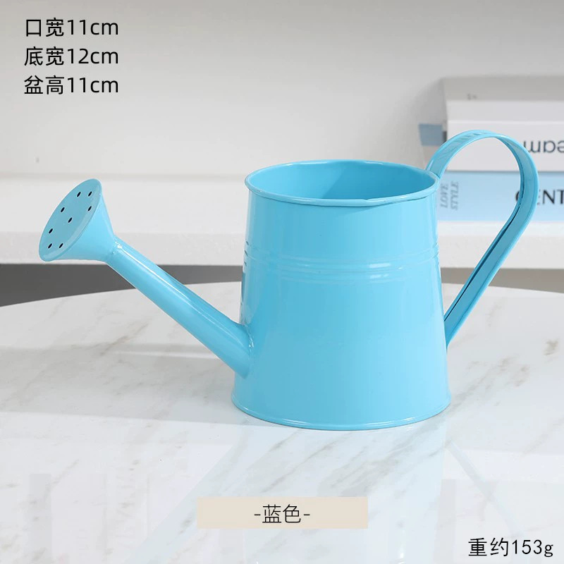 Regadera de hierro de colores vibrantes para jardinería, regadera al por mayor para floristerías, flores frescas, ramos, arreglos florales y exhibiciones florales.