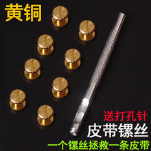 Ƥ���S�~Ƥ���ݽz��ĸ�T��ݽz���������ĸ�T��T�ѝ���ݽz