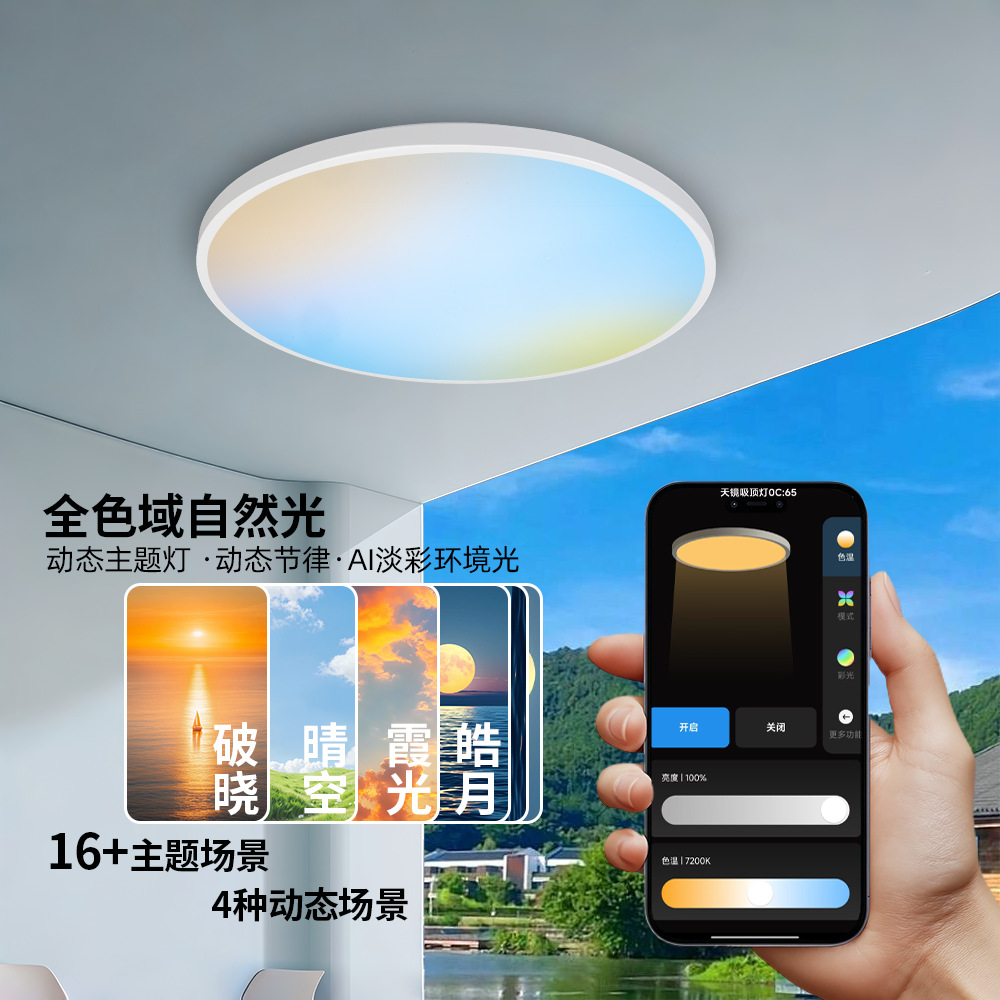 Intelligent Dimming App Remote Control Wide Color Gamut Home Bedroom Atmosphere Simulation Sky Multi-Scene Sky Mirror Ceiling Lamp