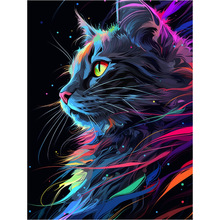 ѷ羳óֹɫèװλDIYͻ