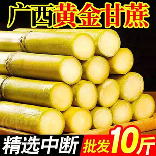 �V�����r�S�����10��Ꭷˮ���SƤ�����خa��������ˮ���������l