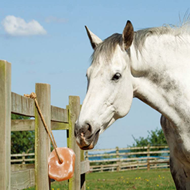 Гималайский большой соляной блок с веревкой соляные кирпичи для крупного рогатого скота, овец и лошадей питательная соль лизать блок Минеральная Соль