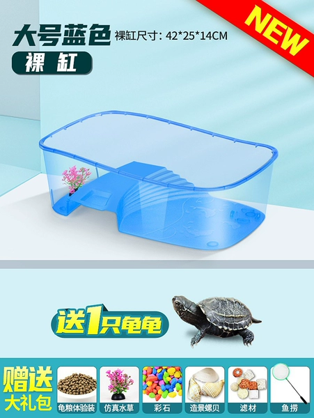 Large blue cylinder turtle+gift package