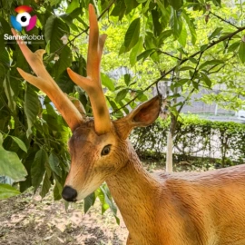 动植物仿真;其他模型玩具;灯笼