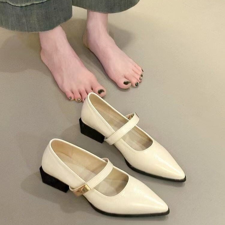 French-Style 2025 Spring and Autumn Metal Buckle High-Heeled Shoes with a Single Strap, New Chunky Shallow Mouth Single Shoes for Women, Retro Pointed Toe