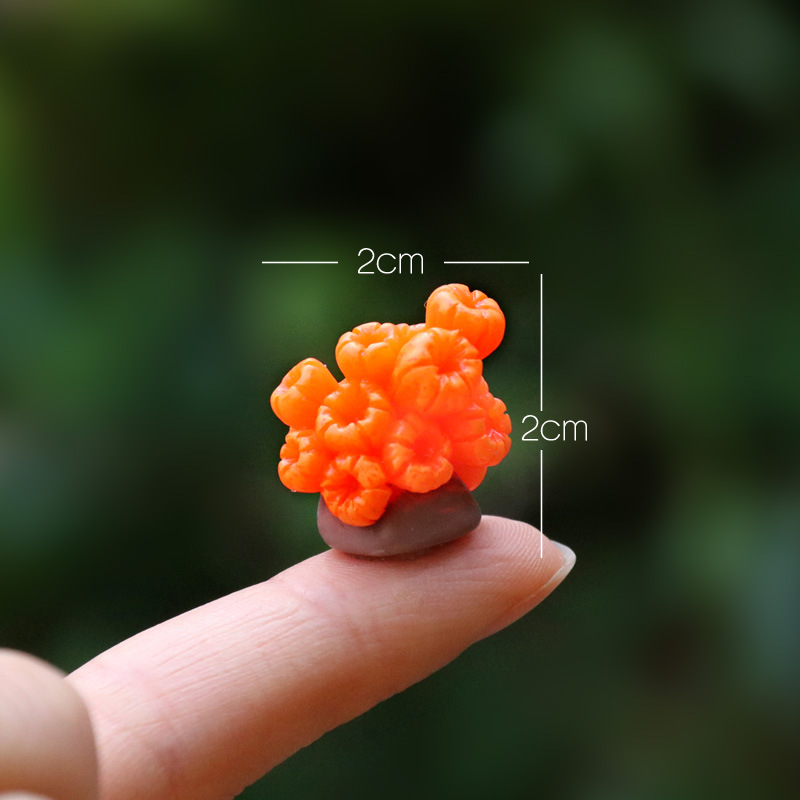 Orange Coral (Pareto)