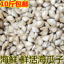 ���r�r��׹��� ���������r��ɳ�� ����С���� �B노�ˮ�a���l