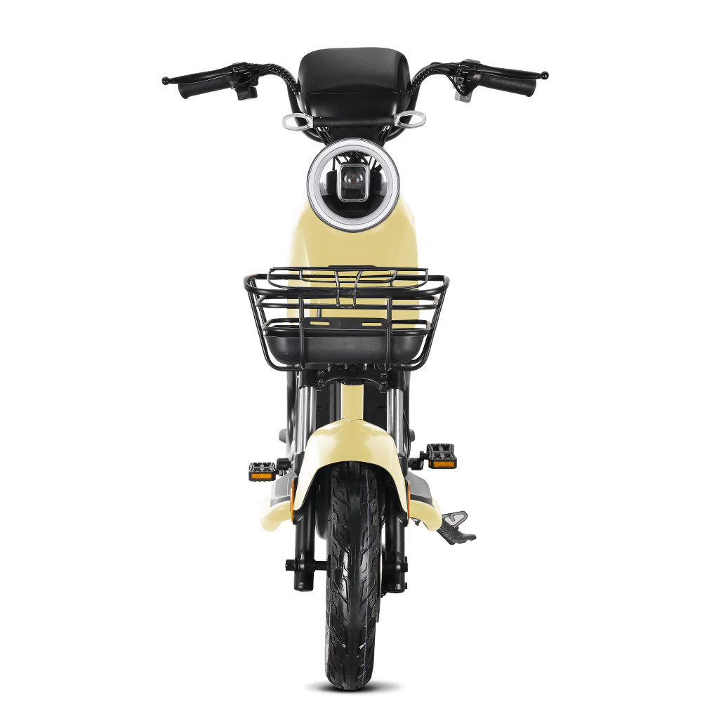 800W National Standard Adult Mobility Scooter Lithium Battery Vehicle Detachable Two-Wheeled Motorcycle Wd-2 Electric Vehicle Lithium Battery