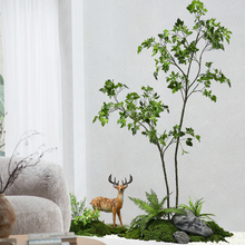 Gֲ쾰MbֲͥԺÔ[O҃Ⱦ^쾰Շ