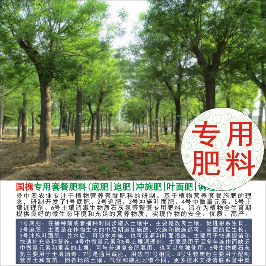 50�����а¹���������ר���л��ʸ��Ϸʵ׷�׷��Ҷ��ʳ�ʩ��