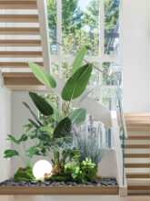 ���ͷ���Gֲ�쾰�M�Ϙ����¿��g�쾰�҃Ⱦ��^�쾰��ֲ�������b�