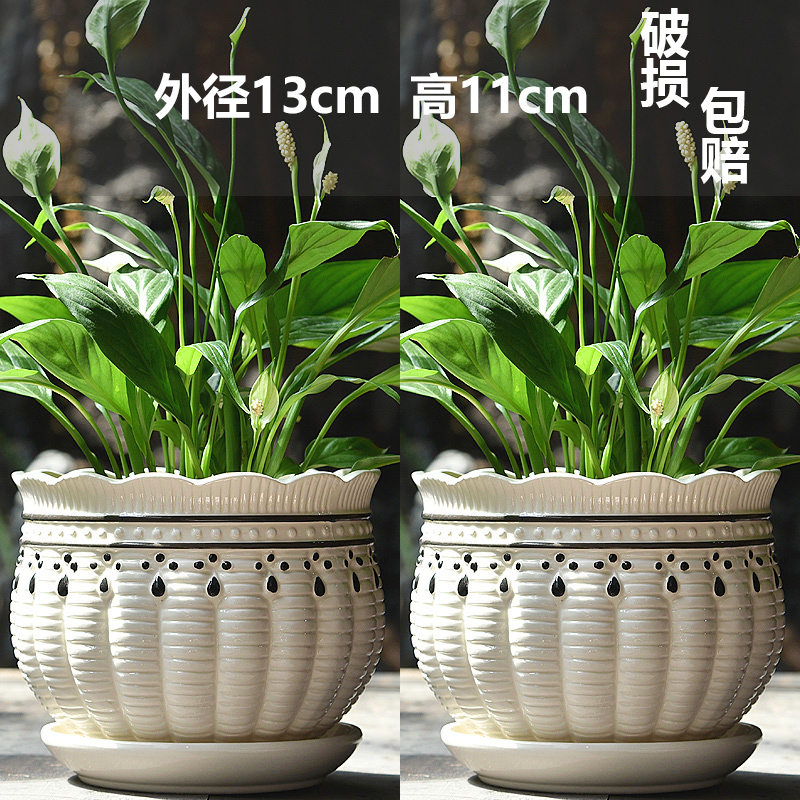 중간 크기 2개(흑백)