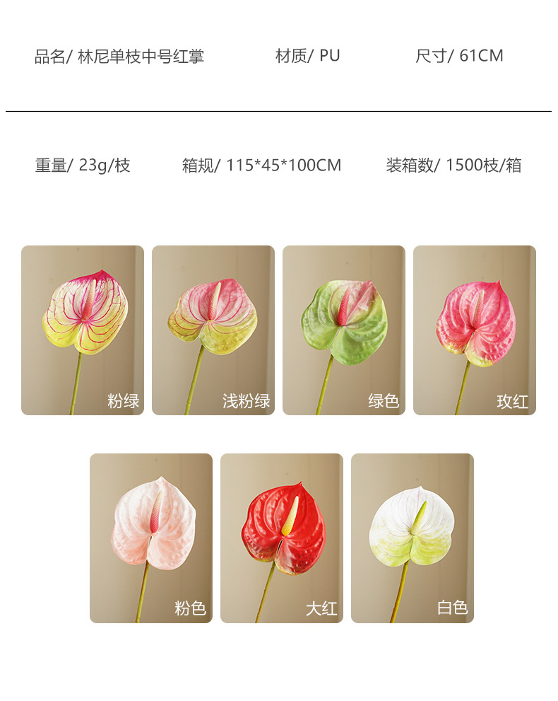 林尼单枝中号红掌_06.jpg