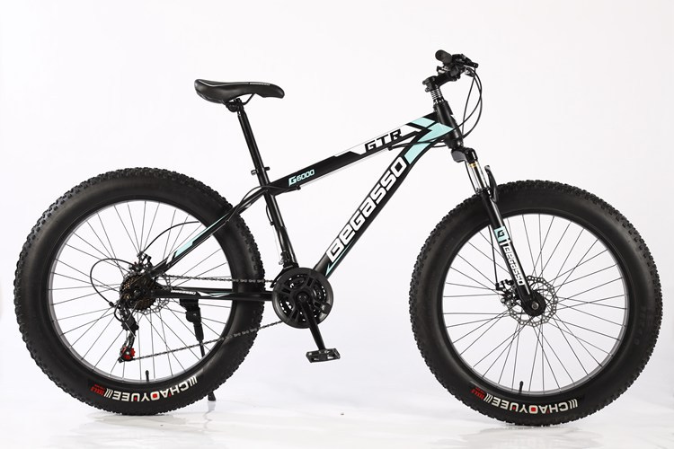 羳ֱѩس4.0̥гŮɽسټԽҰbicycle