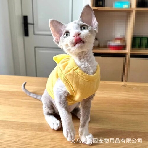 Baby clothes for tiny kittens, puppies, and dogs including teddy bears, teacup dogs, newborns, and one-month-old pets. Suitable for autumn and winter.