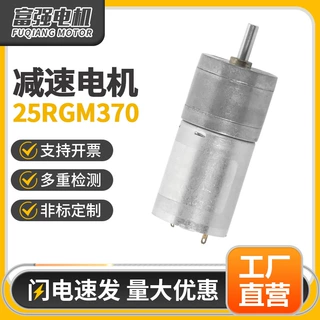 定制微型减速电机36V充电桩小电机按摩器磨脚器直流有刷马达批发