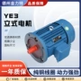 三相全铜卧式定制电动机