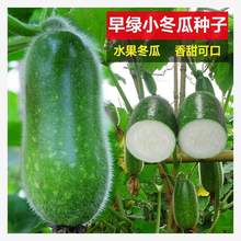 ��GС���ϷN�Ӵ���ͥԺ�NֲС�����ļ��߮a��Ƥ�󶬹�����С����