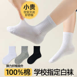 儿童白色袜子夏季薄款棉袜女童白袜男童学生中筒夏天宝宝网眼批发