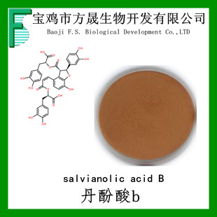 ������ȡ�� ������B ������b50% Salvianolic acid B ���̙z���S