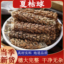 �����Ŀ�����ș�ĳ����ë�Ŀ����؛�Ŀ�����鳲��Ŀݲݛ���