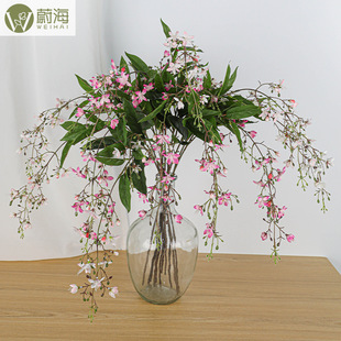2���黨���z����֦�l���滨��Y�Ҿ�ܛ�b�����쾰��ˇ�廨�[��