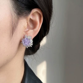 耳钉;耳环;项链