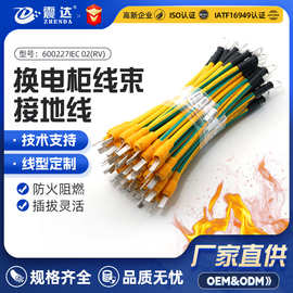 换电柜线束定制国标纯铜PVC电子设备内部线材加工防火阻燃接地线
