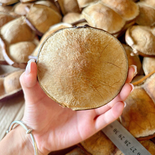 �}�ٶ��v����diy���ϰ�ƽ��������Ȼɢ�b���v���l�ֹ�����