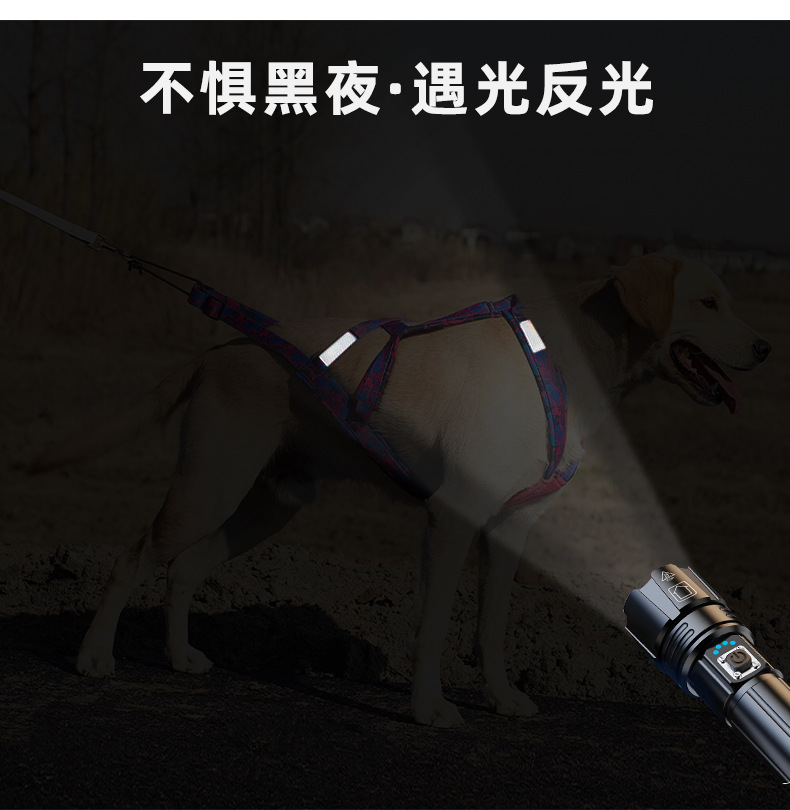 雪橇犬胸背带_05
