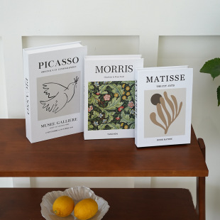 Cross-Border Large, Medium and Small Creative Illustration Simulation Book Matisse Artist Decorative Book Model Coffee Table Fake Book Display Book
